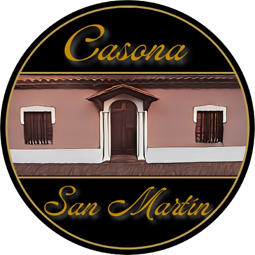Logo final casona san martin